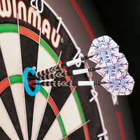 red-dragon-gerwyn-price-iceman-practice-rings-training image 2