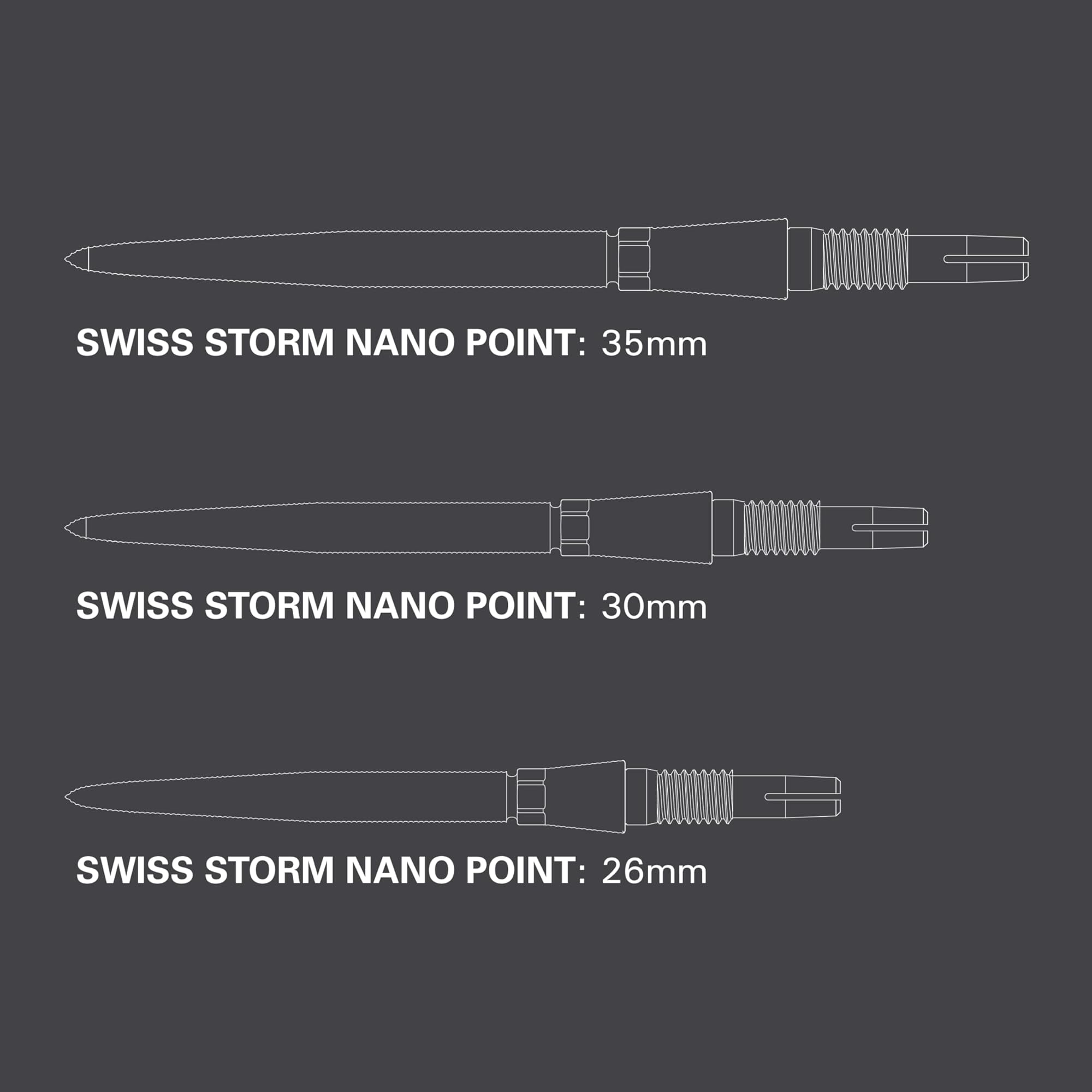 target-swiss-point-storm-diamond-dartspitzen-30mm-silber image 2