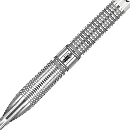 target-gabriel-clemens-steeldarts-90-wolfram-storm-point image 7