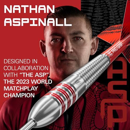 target-nathan-aspinall-messing-steeldarts-22g-set-mit-etui image 8